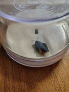 IMG 20260326 230752937 HDR