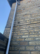 IMG-3310