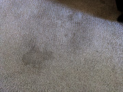 PXL_20250917_174512314 - Copy