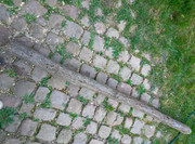 IMG-20250408-093758.jpg