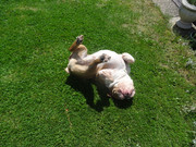 DSC04912.jpg