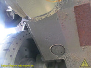 IMG-3237