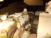 DSCN6523