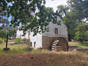 IMG-20241108-123013