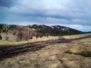 IMG_20210314_151949_3