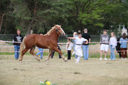IMG-7335-wynik