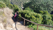 30-01022025