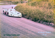 Targa Florio (Part 5) 1970 - 1977 - Page 9 1977-TF-7-Pianta-Schon-010