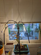 PXL_20240517_182810635