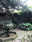 IMG-8455