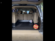 E2D31CD9-6461-4FF2-86F3-934376534BBF