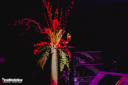 IMG-3887