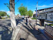 IMG-20260315-163628920-HDR