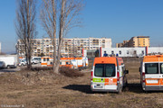 IMG-5262