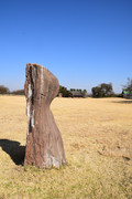DSC-0037