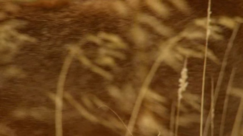 [Image: ohr3hqxb19r5.jpg]