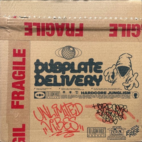 00-unlimited-vibes-dubplate-delivery-he1