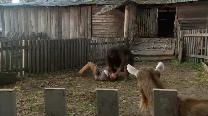 [Image: lwaugo72s4s2.jpg]