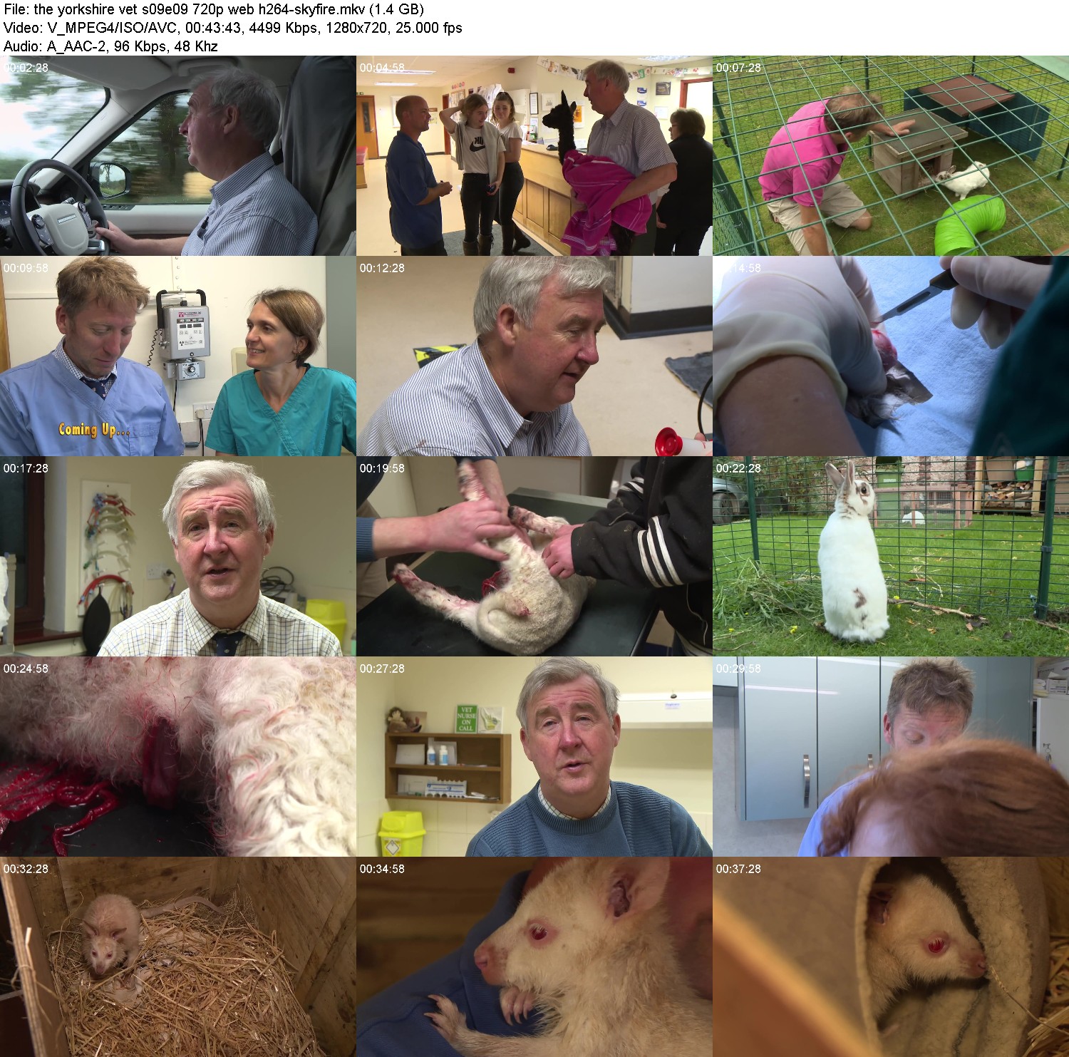 [Image: b75hhi5rdij5.jpg]