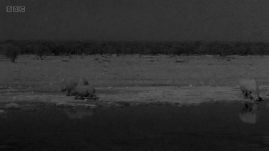 [Image: 7cgyw86yhit6.jpg]