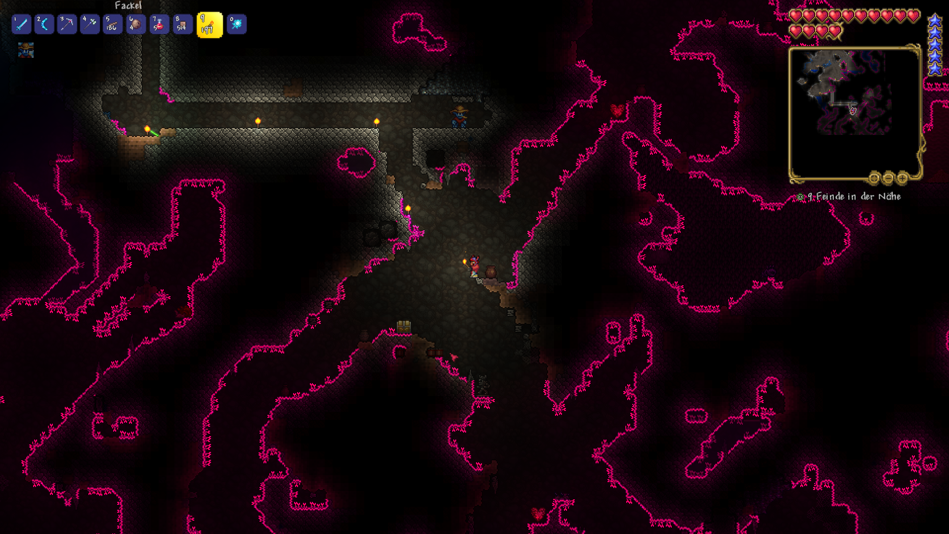 Terraria-Du-Sand-oder-was-16-05-2025-09-51-03.png