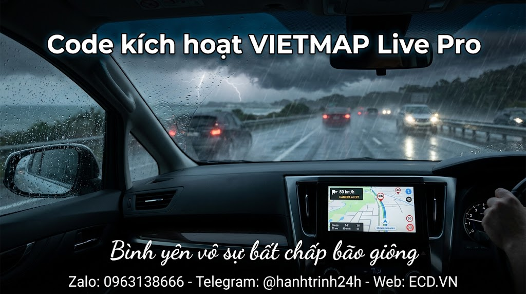 vietmap pro nữ tài xế