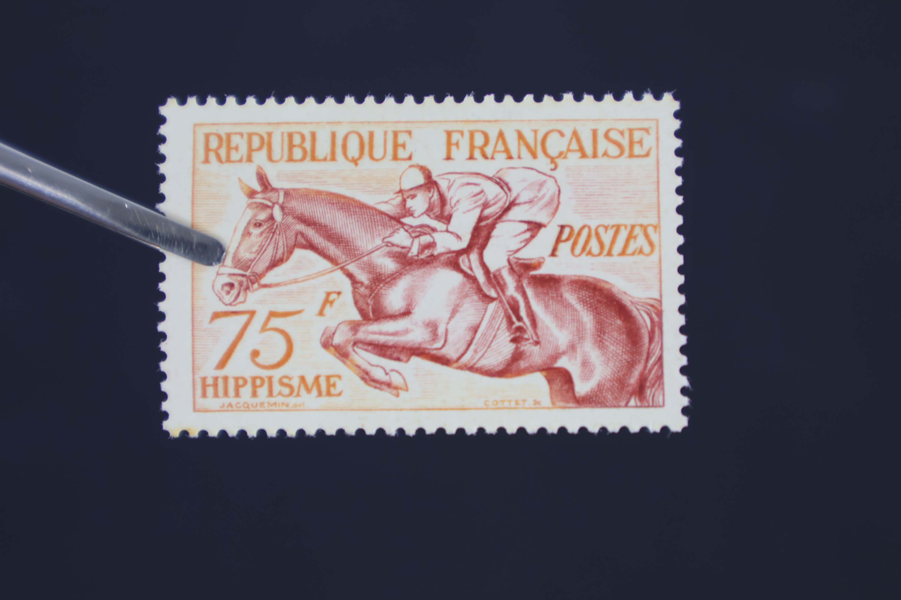 IMG-9335