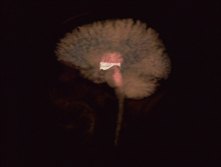 [Image: 2wddphc05w7s.png]