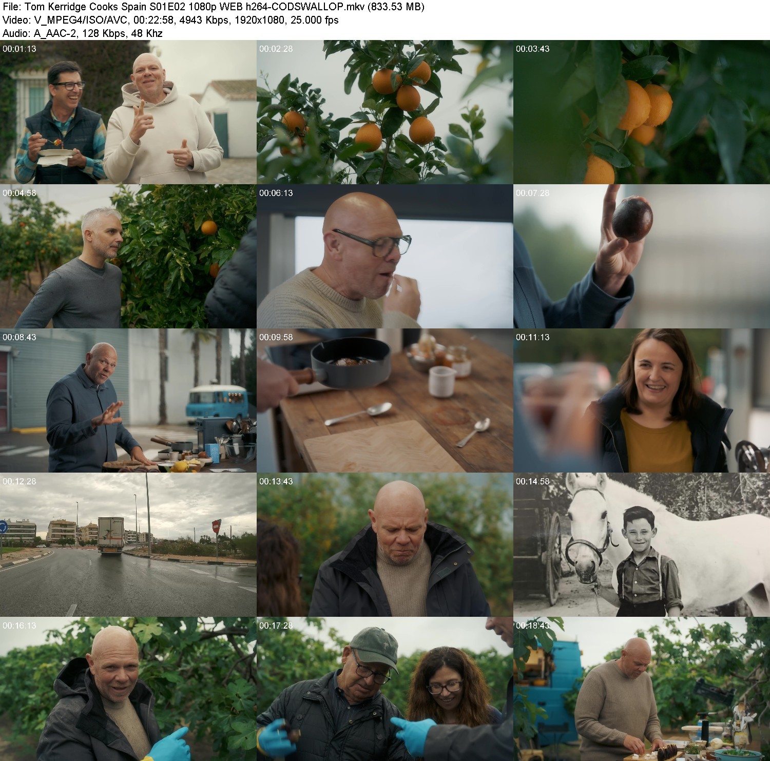 [Image: ep1vyp80h0ni.jpg]