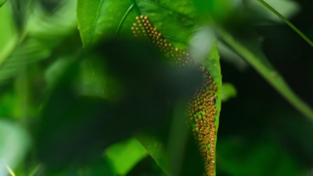 [Image: 10opfxad3y0n.jpg]