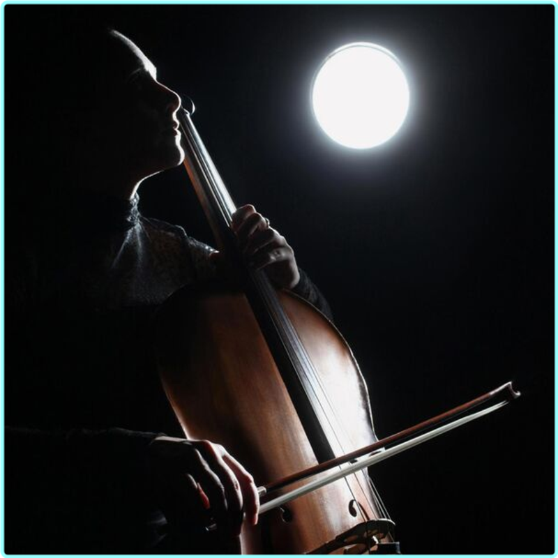 [Image: g4jg0i1dxn4m.png]