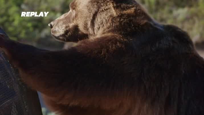 [Image: saje5bs585lc.jpg]