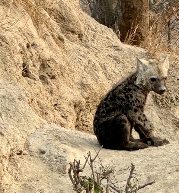 [Linked Image from i.postimg.cc]