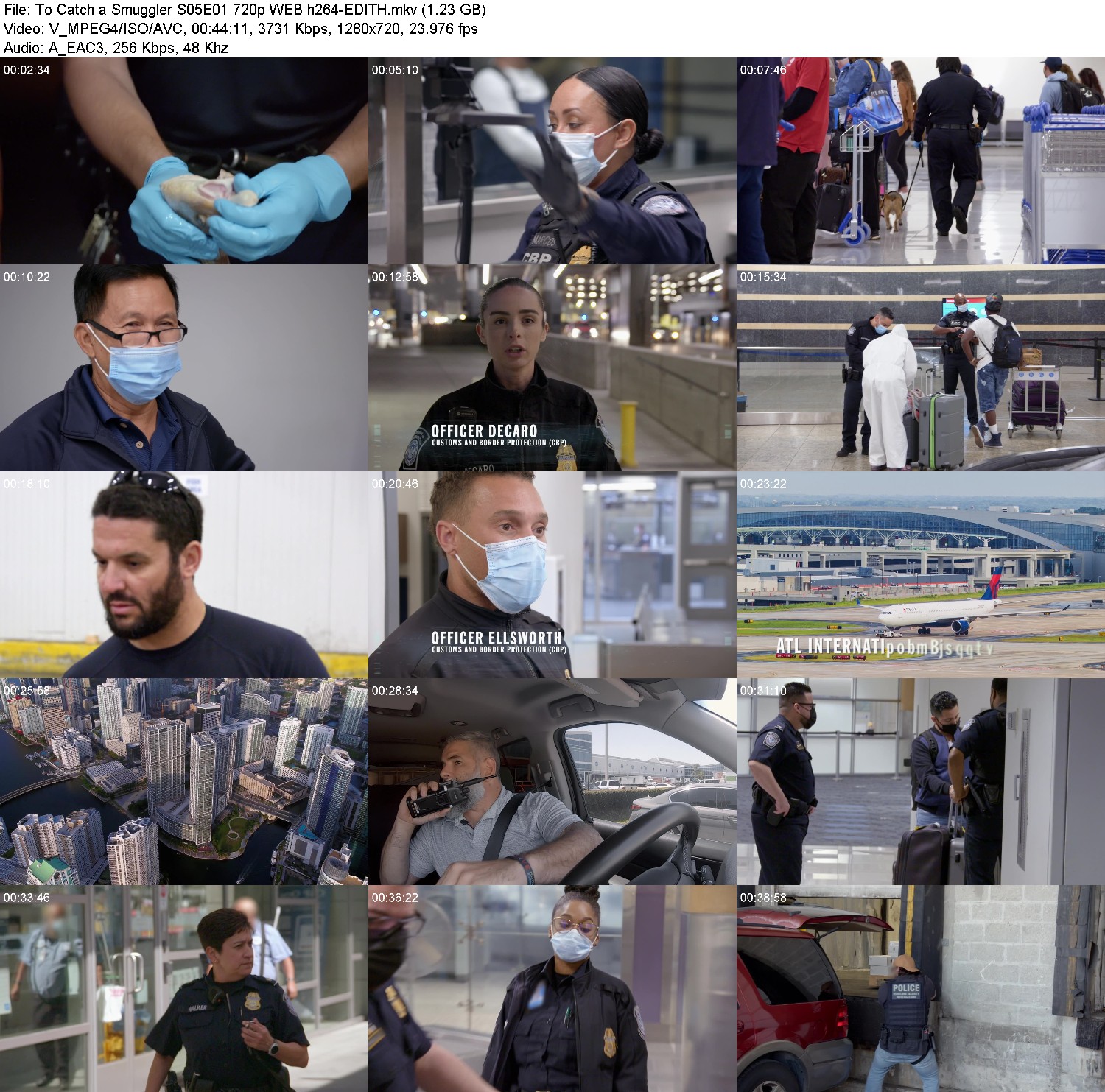 [Image: h6e1btpl33lf.jpg]