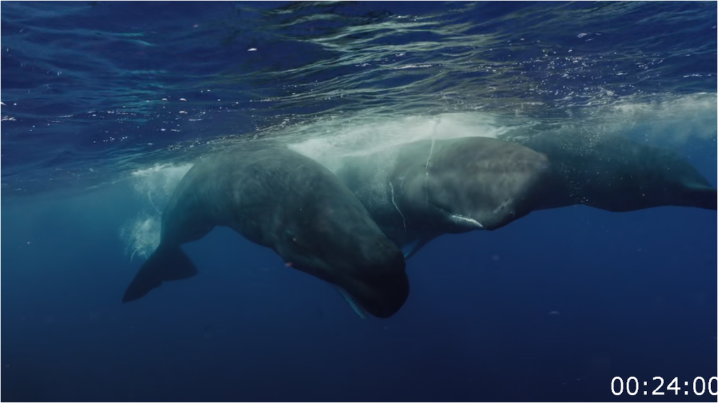 [Image: graavm50oa73.png]