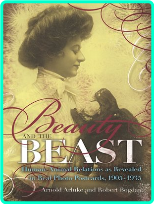 [Image: a8dwsar05ll4.png]