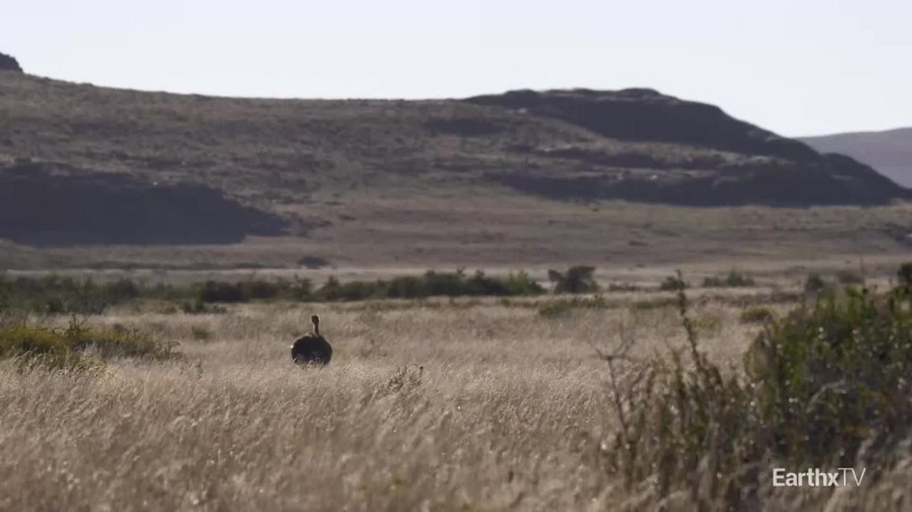 [Image: dehtx31e38lb.jpg]