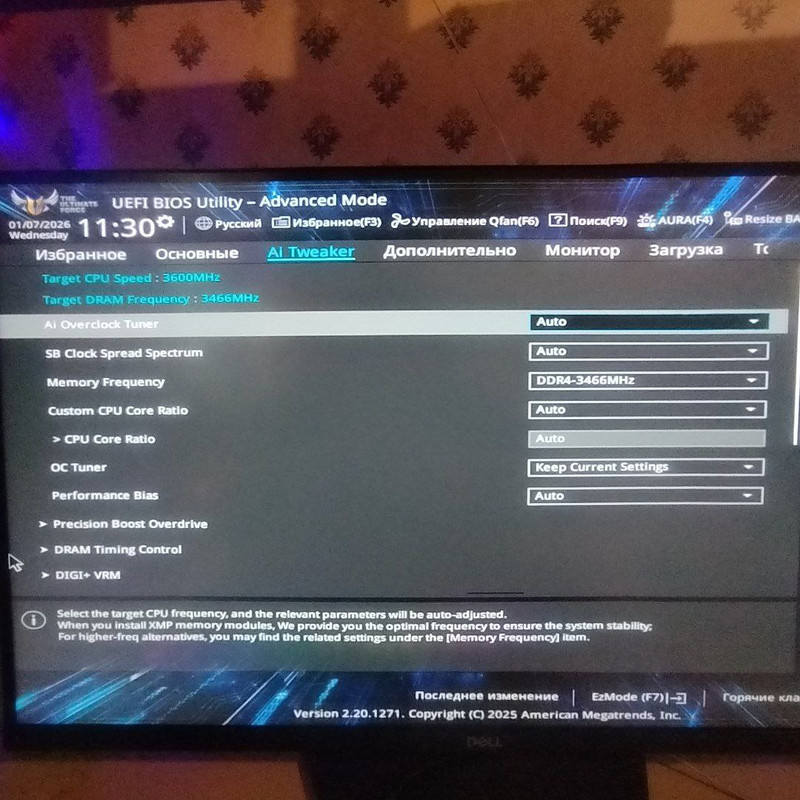 photo 2026 01 07 11 45 58 (3)