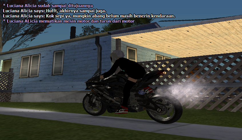 SS9.png