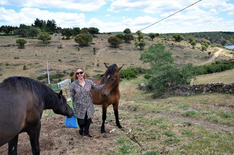 EMBALSE PUENTES VIEJAS, FORTINES Y ANIMALES-24-5-2014-MADRID - Paseando por España-1991/2016 (32)