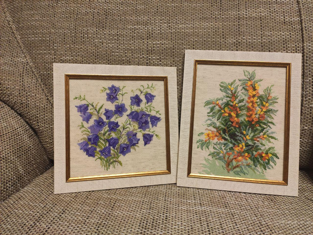 photo_2019-10-08_21-08-36 (3)