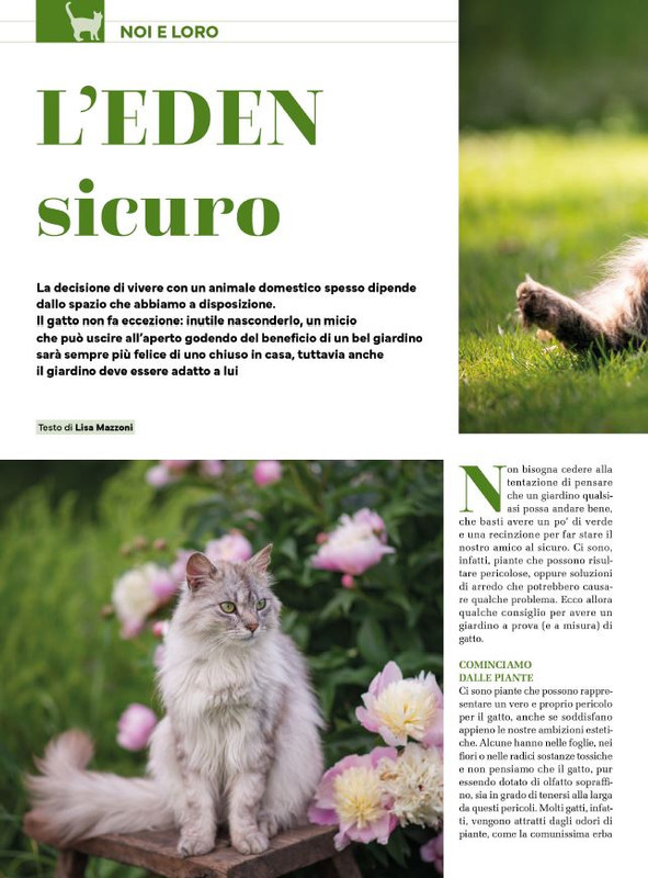 Ga Ma Ago-Set 2024 (7)