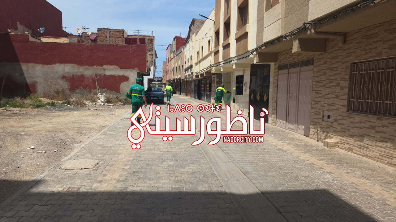 Whats-App-Image-2026-05-25-at-15-18-44