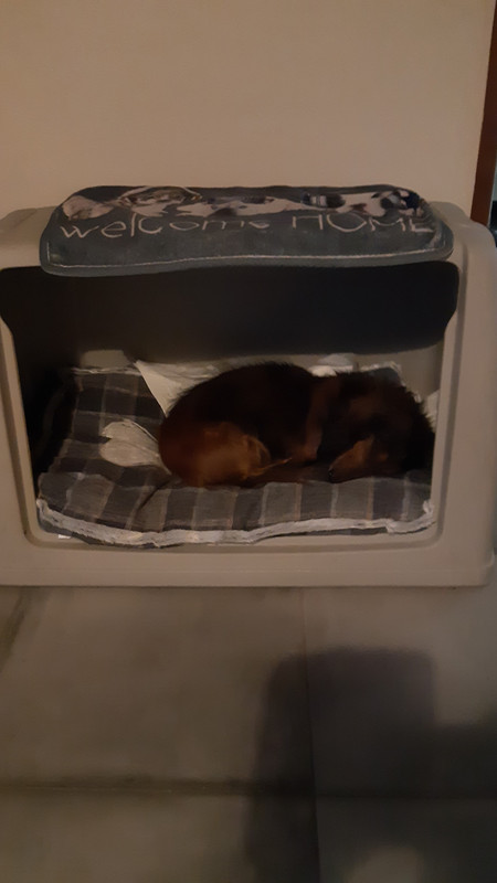 [Image: IMG-20210211-WA0004.jpg]