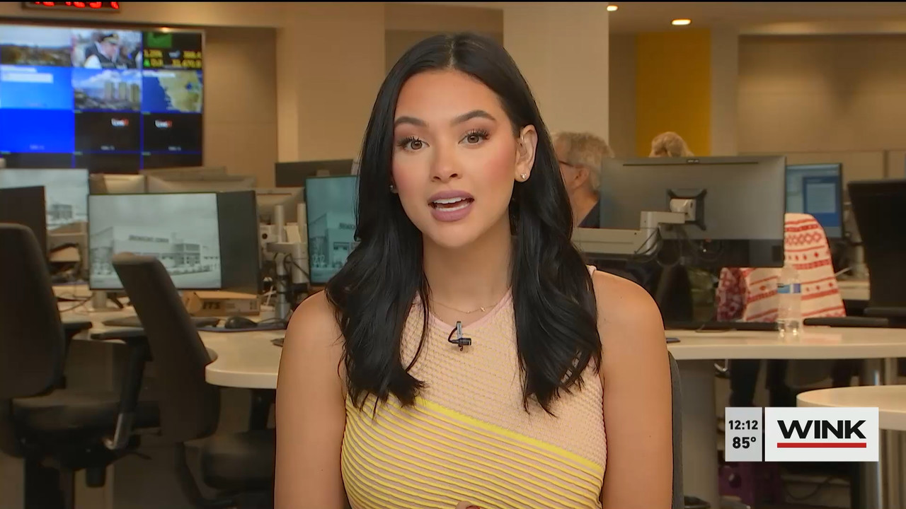 10.24 - 17.00.00 - The WINK Noon News  ᴺᵉʷ. Midday news update..ts_snapshot_19.22.998