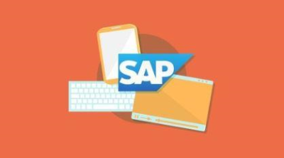 SAP Product Portfolio Essential Training for Business Users