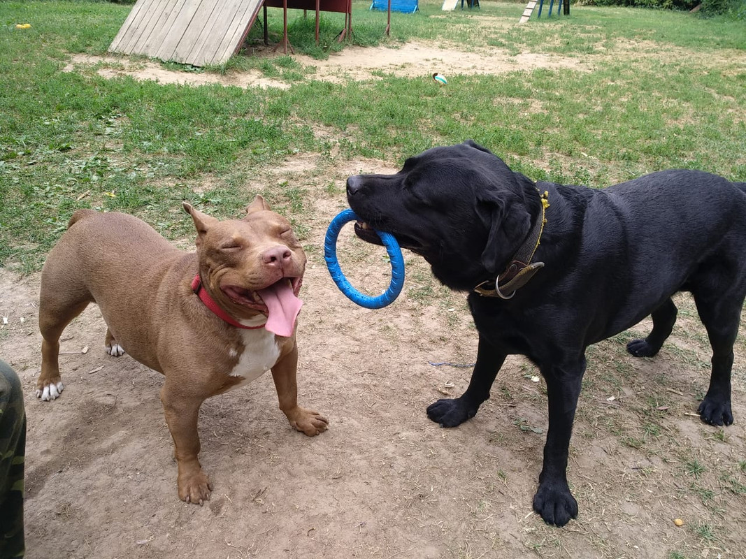 D102E5B3-85E1-41E9-A8AC-B0F0B58F4B17