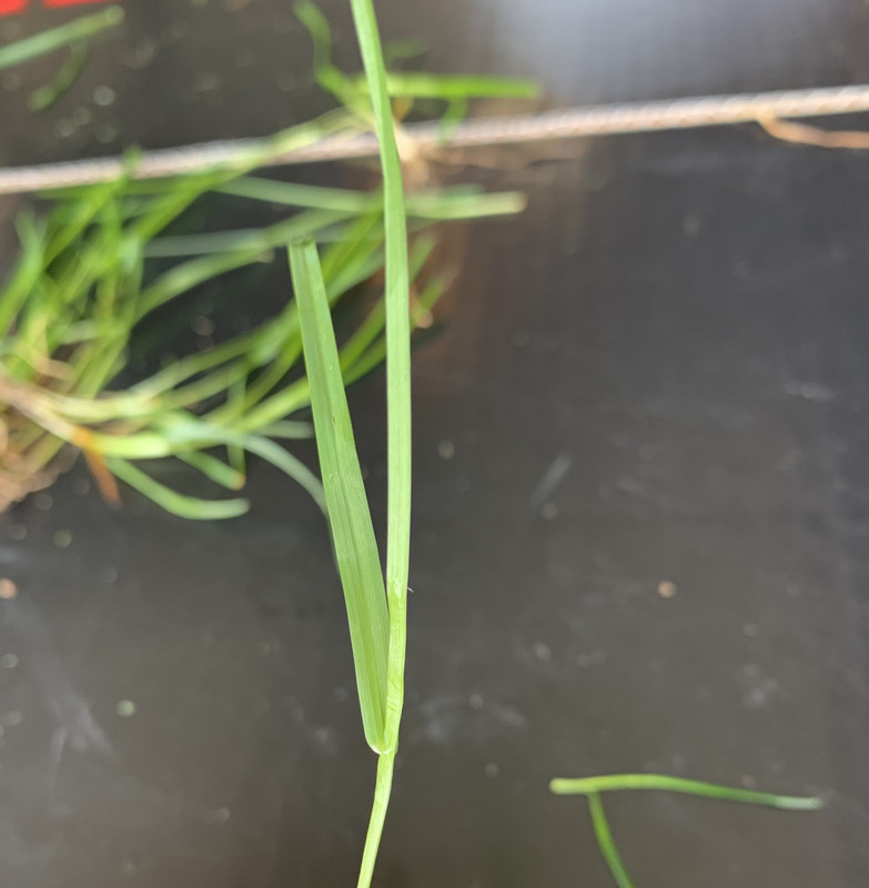 5E04EEC2-E3D3-4343-9AFE-4E2BEED1D4D3