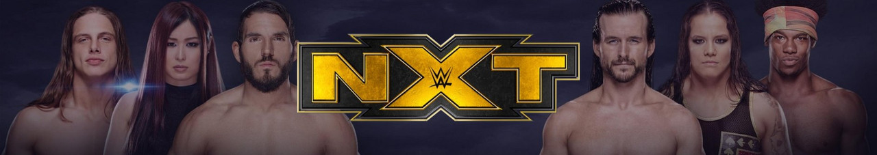 WWE NXT 2020 05 20 USAN 720p WEB h264-HEEL
