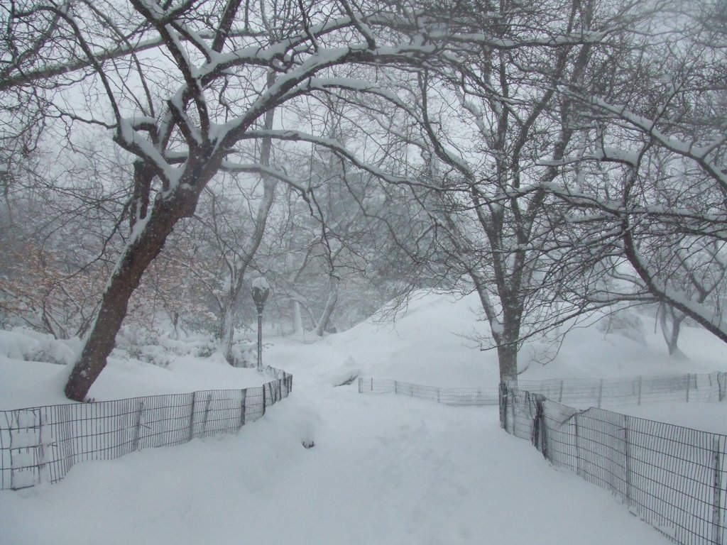 2006-0316-NY0151.jpg